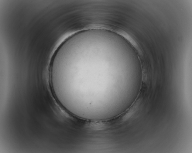 X0000088221094200705221758