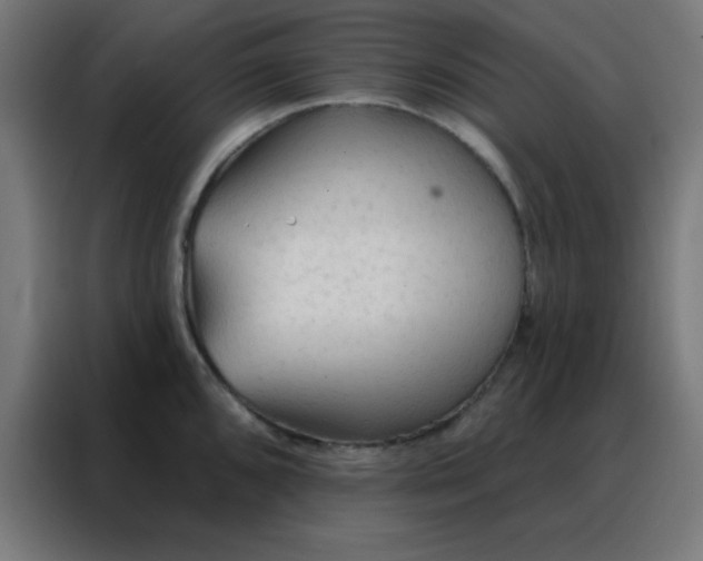 X0000088221096200705221758