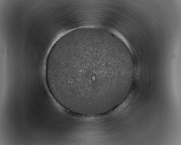 X0000088221099200705221758