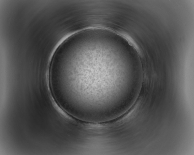 X0000088221100200705221758