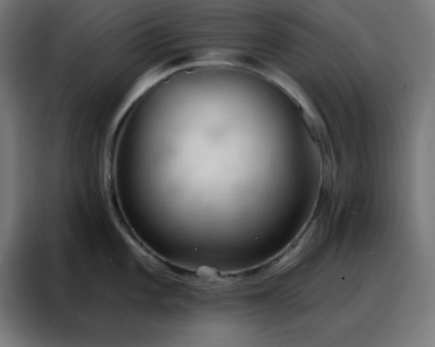 X0000088221101200705221758