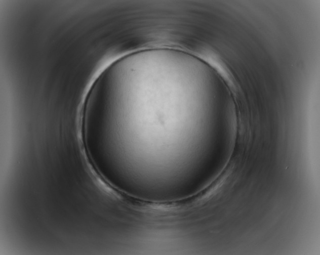 X0000088221102200705221758