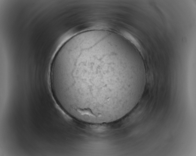 X0000088221103200705221758