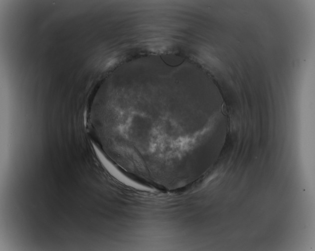 X0000088221106200705221758