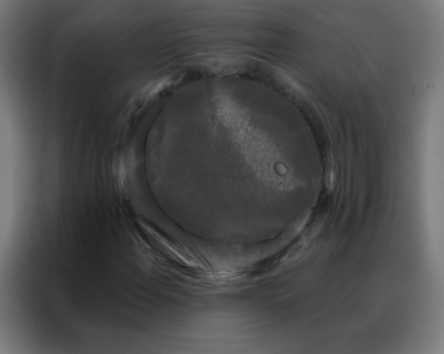 X0000088221108200705221758