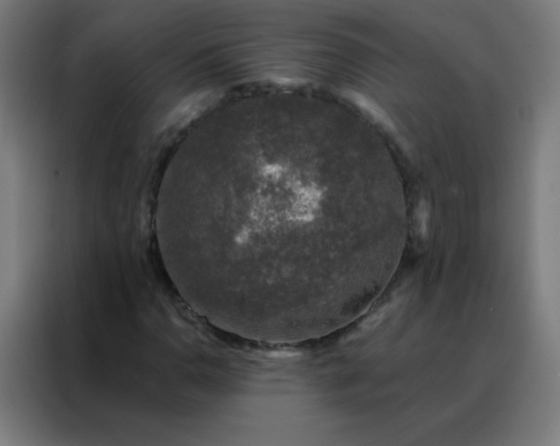 X0000088221110200705221758