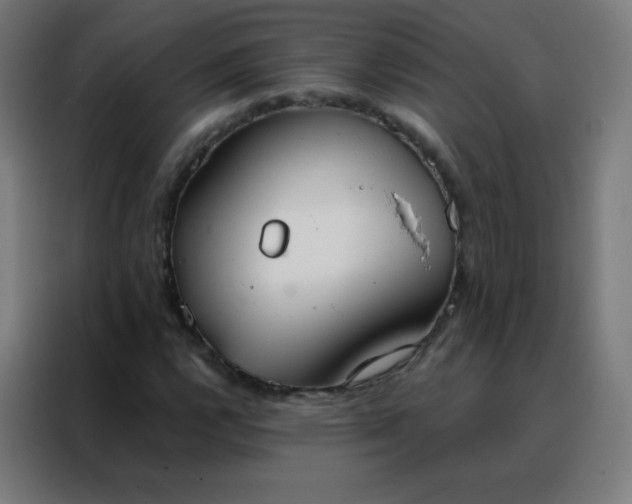 X0000088221112200705221758