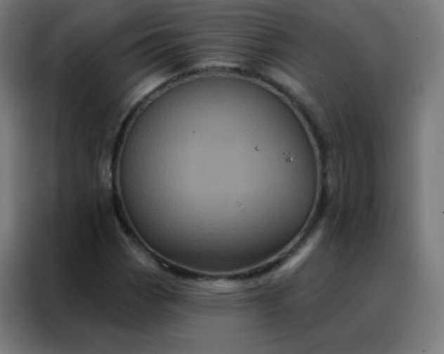 X0000088221113200705221758