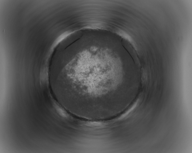 X0000088221114200705221758