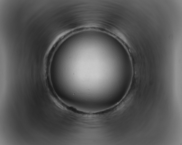 X0000088221116200705221758