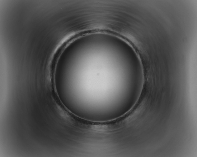 X0000088221118200705221758