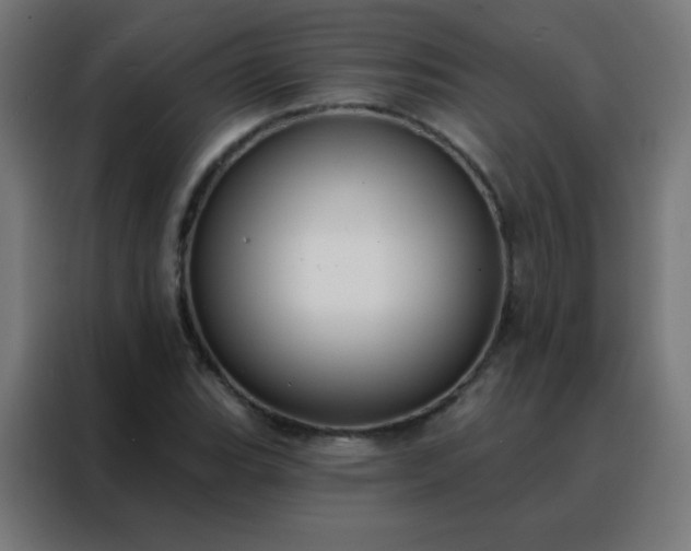 X0000088221119200705221758