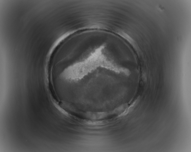 X0000088221120200705221758