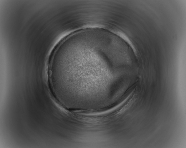 X0000088221124200705221758