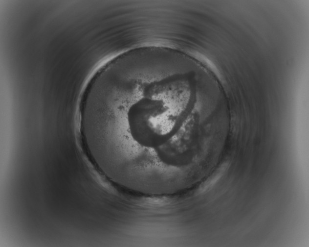 X0000088221125200705221758