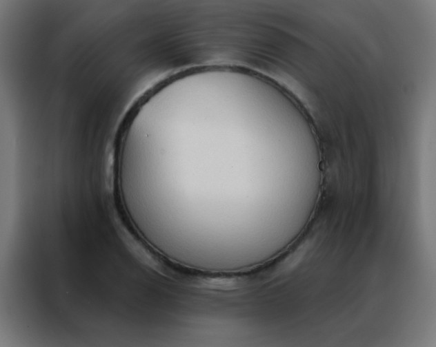 X0000088221126200705221758