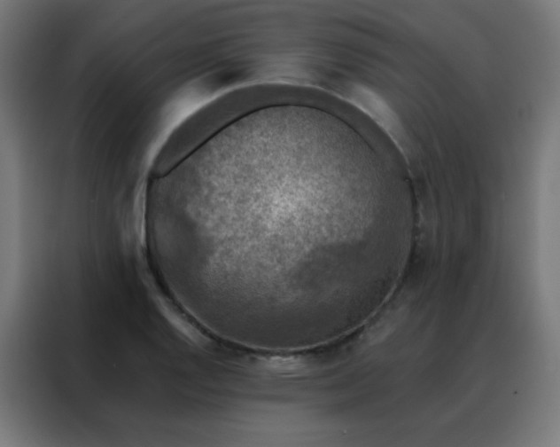 X0000088221128200705221758