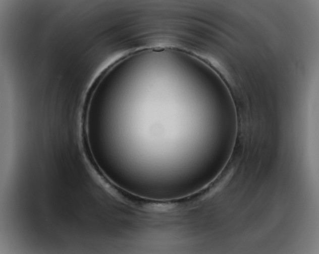 X0000088221134200705221758