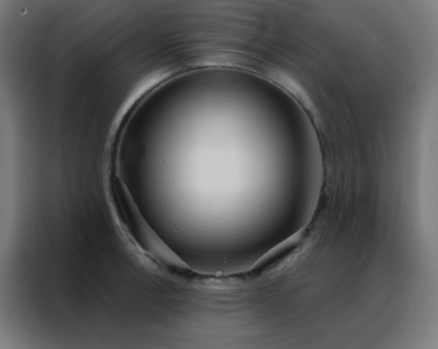 X0000088221138200705221758