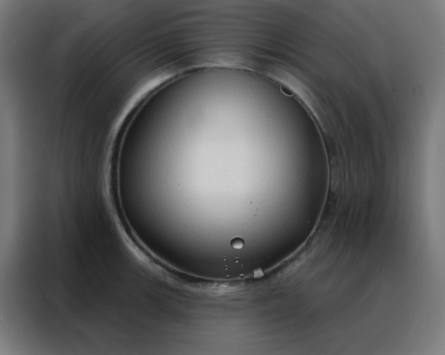 X0000088221139200705221758