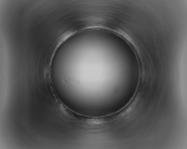 X0000088221145200705221758