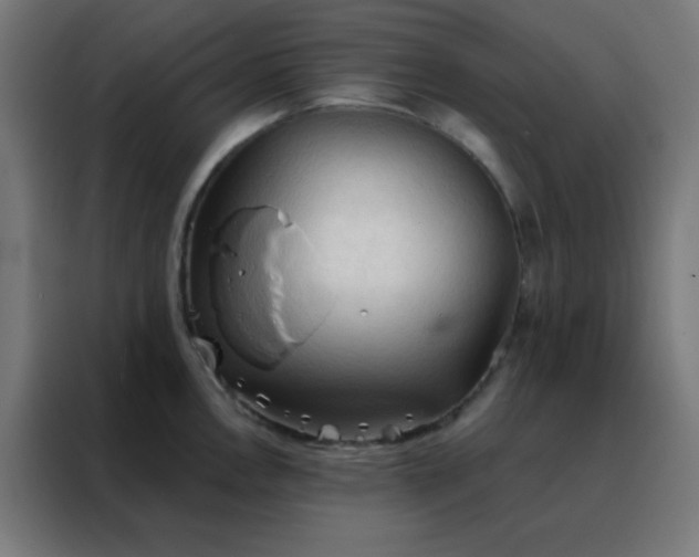 X0000088221146200705221758