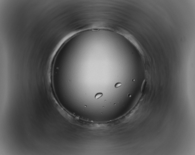 X0000088221148200705221758