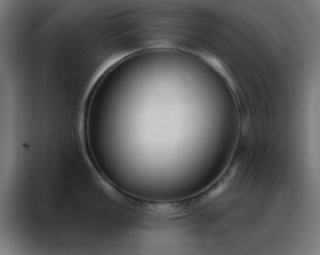 X0000088221149200705221758