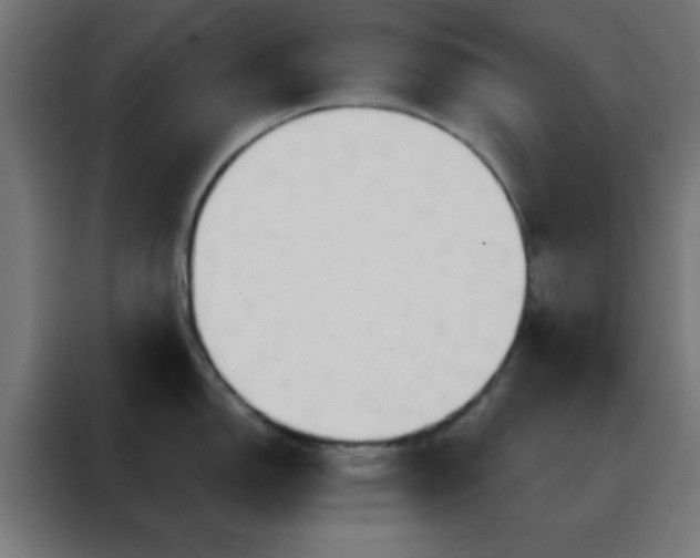 X0000088221150200705221758