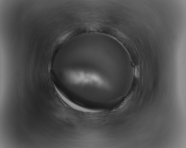 X0000088221155200705221758