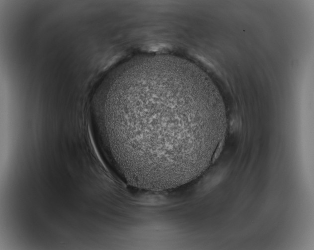 X0000088221156200705221758