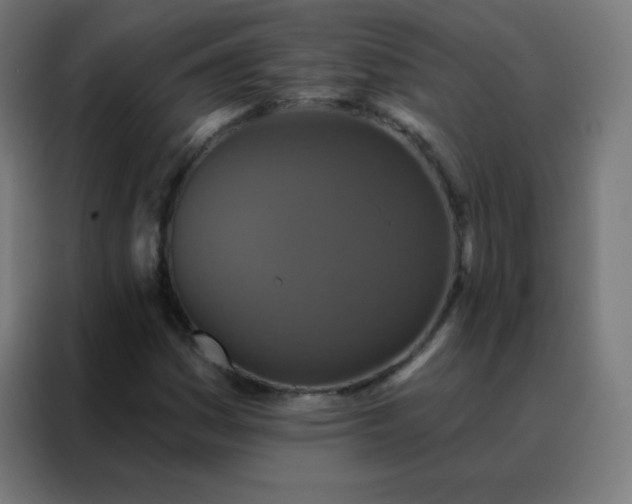 X0000088221161200705221758