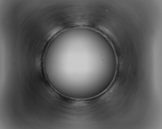 X0000088221162200705221758