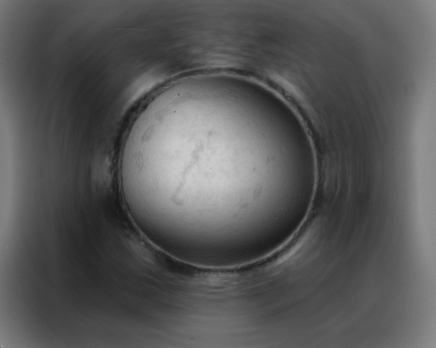 X0000088221163200705221758