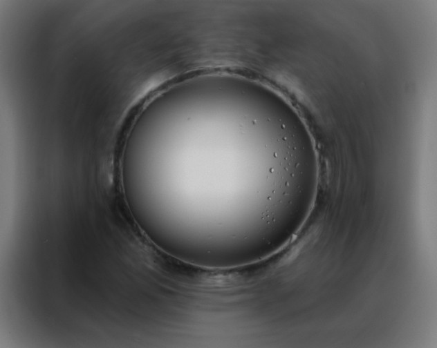 X0000088221165200705221758