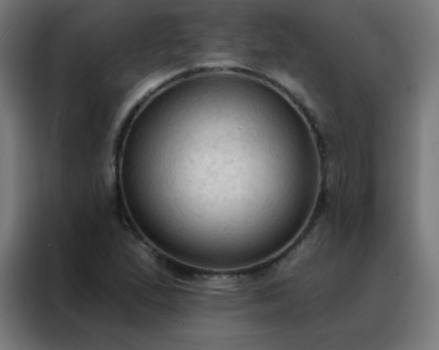 X0000088221167200705221758