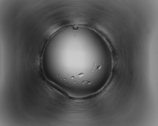 X0000088221169200705221758