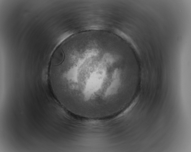 X0000088221170200705221758