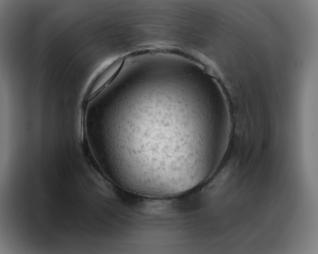 X0000088221171200705221757