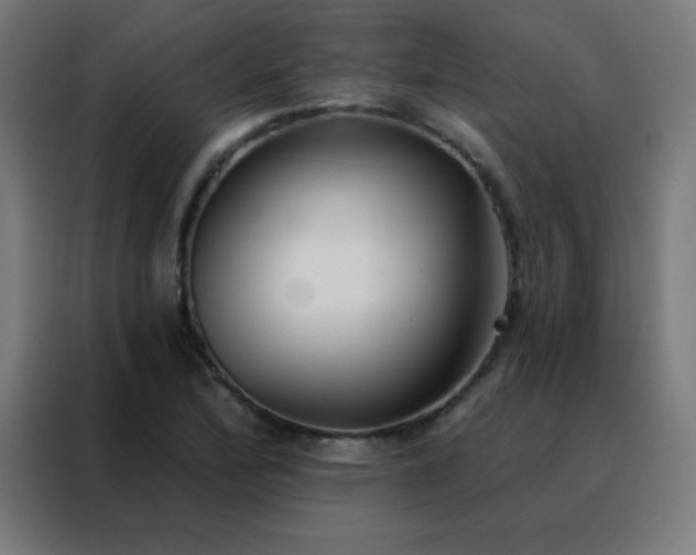 X0000088221172200705221757