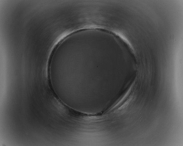 X0000088221173200705221757