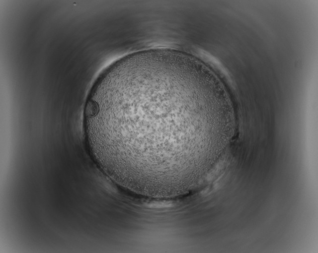 X0000088221174200705221757