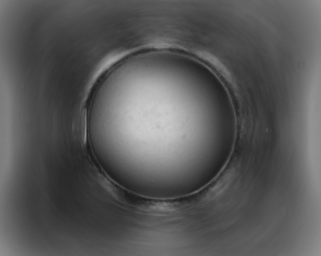 X0000088221175200705221757