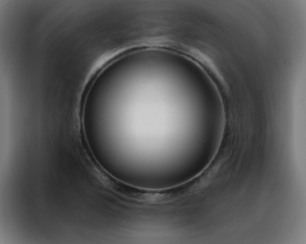 X0000088221176200705221757