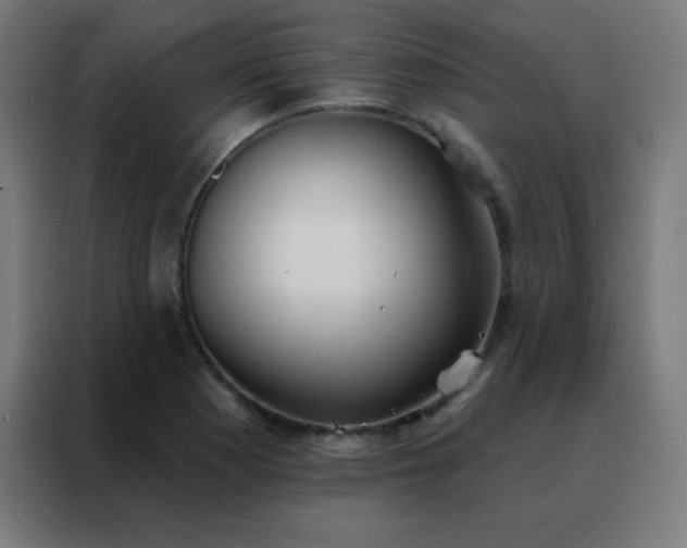 X0000088221177200705221757