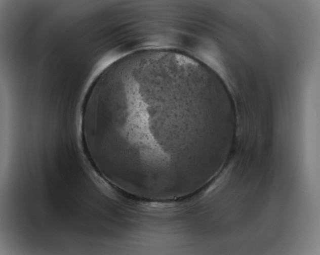 X0000088221179200705221757