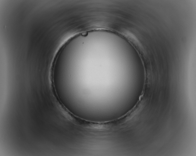 X0000088221182200705221757