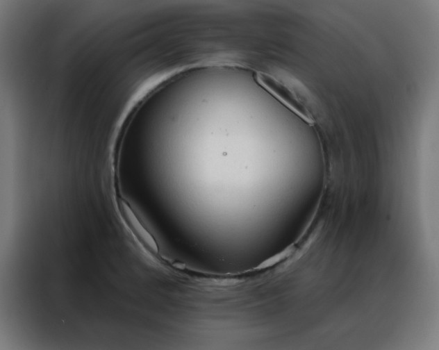 X0000088221184200705221757