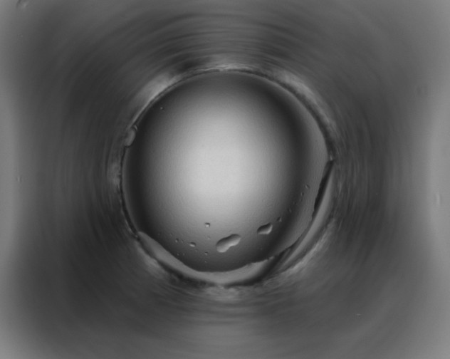 X0000088221185200705221757