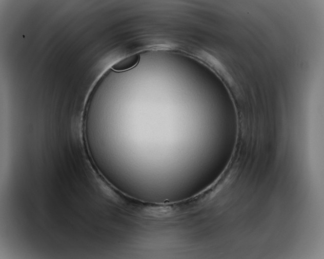 X0000088221186200705221757